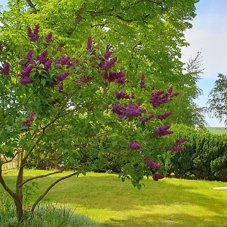 Mueritzliebe By Interhome Apartamento