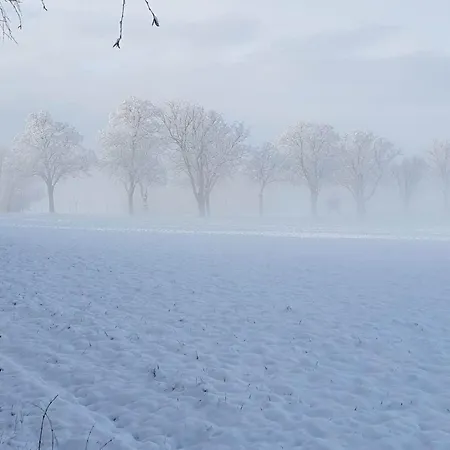 Mueritzliebe By Interhome Apartamento *