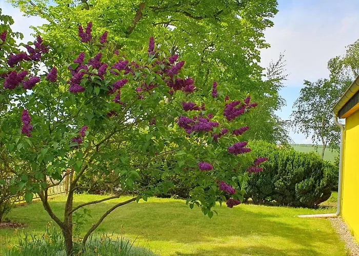 Mueritzliebe By Interhome Apartamento