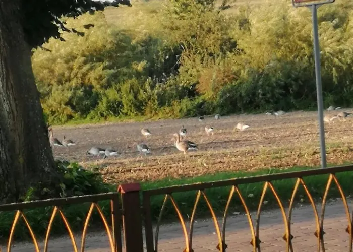 Apartamento Mueritzliebe By Interhome *