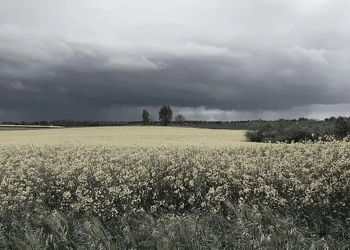 Mueritzliebe By Interhome Sietow