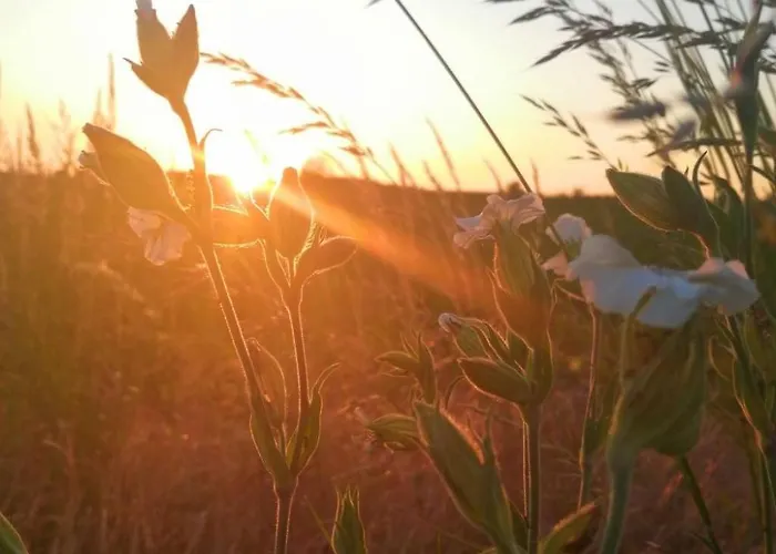 Apartamento Mueritzliebe By Interhome Sietow