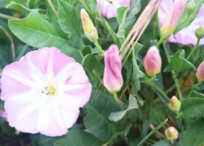 Mueritzliebe By Interhome *