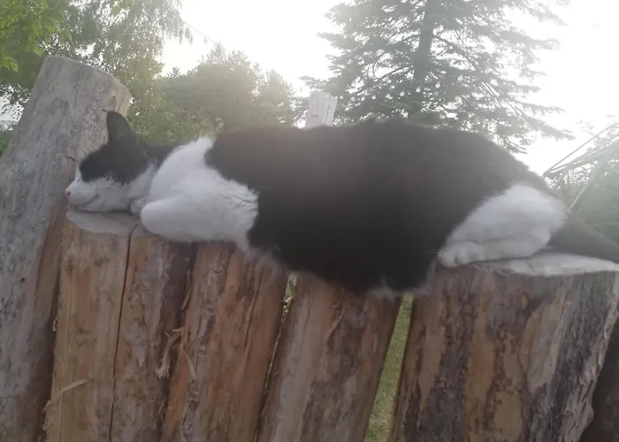 Mueritzliebe By Interhome *